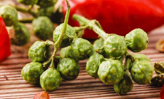 青花椒行業供需分析：內需飽和 2023年江津青花椒出口總額達1000萬元
