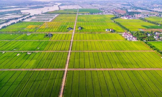 2024年中國高標準農田行業的市場發展現狀及投資風險分析