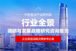 2025年機器人流程自動化(RPA)行業深度數據分析報告  (附多維度圖表與場景案例)