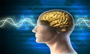 2025年中國腦機(jī)接口行業(yè)：從實(shí)驗(yàn)室到臨床的技術(shù)跨越